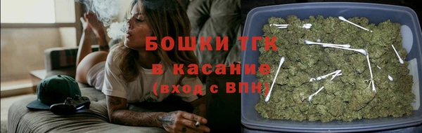 прущие грибы Абдулино