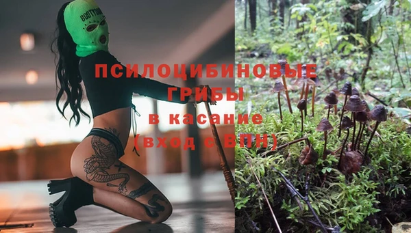 прущие грибы Абдулино