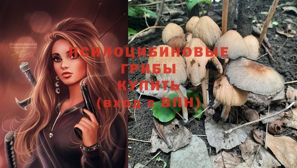 прущие грибы Абдулино