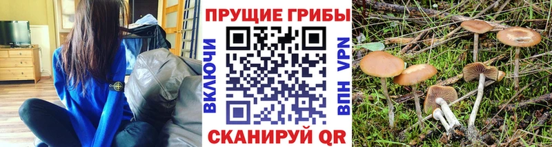 Псилоцибиновые грибы Psilocybe  Заринск 